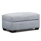 Parkdale Storage Ottoman