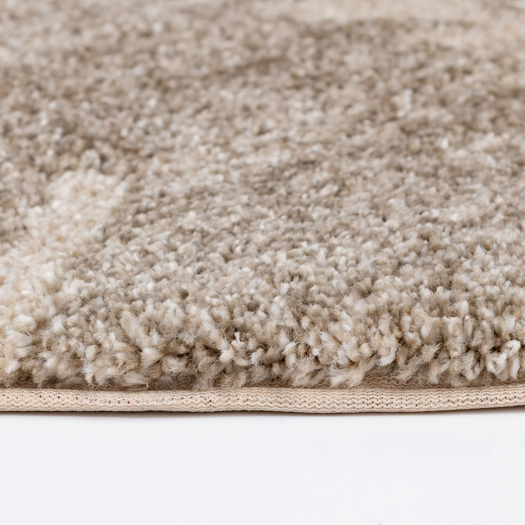 Davien Area Rug