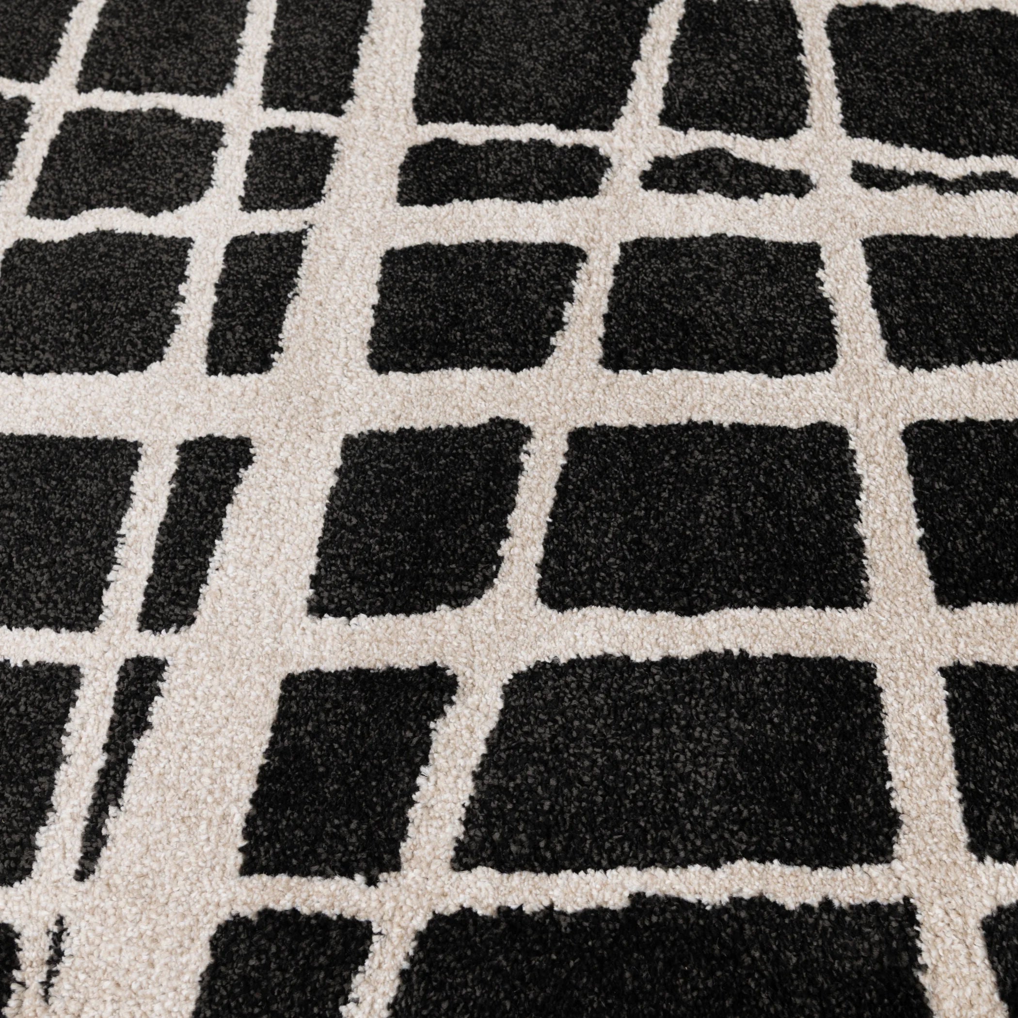 Titon Area Rug