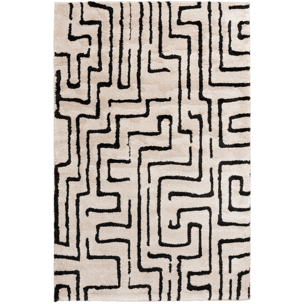 Charlin Area Rug