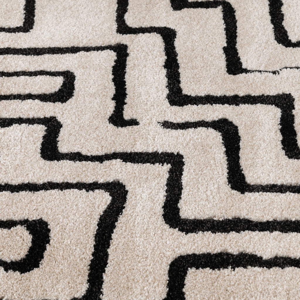 Charlin Area Rug