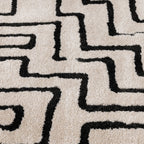 Charlin Area Rug