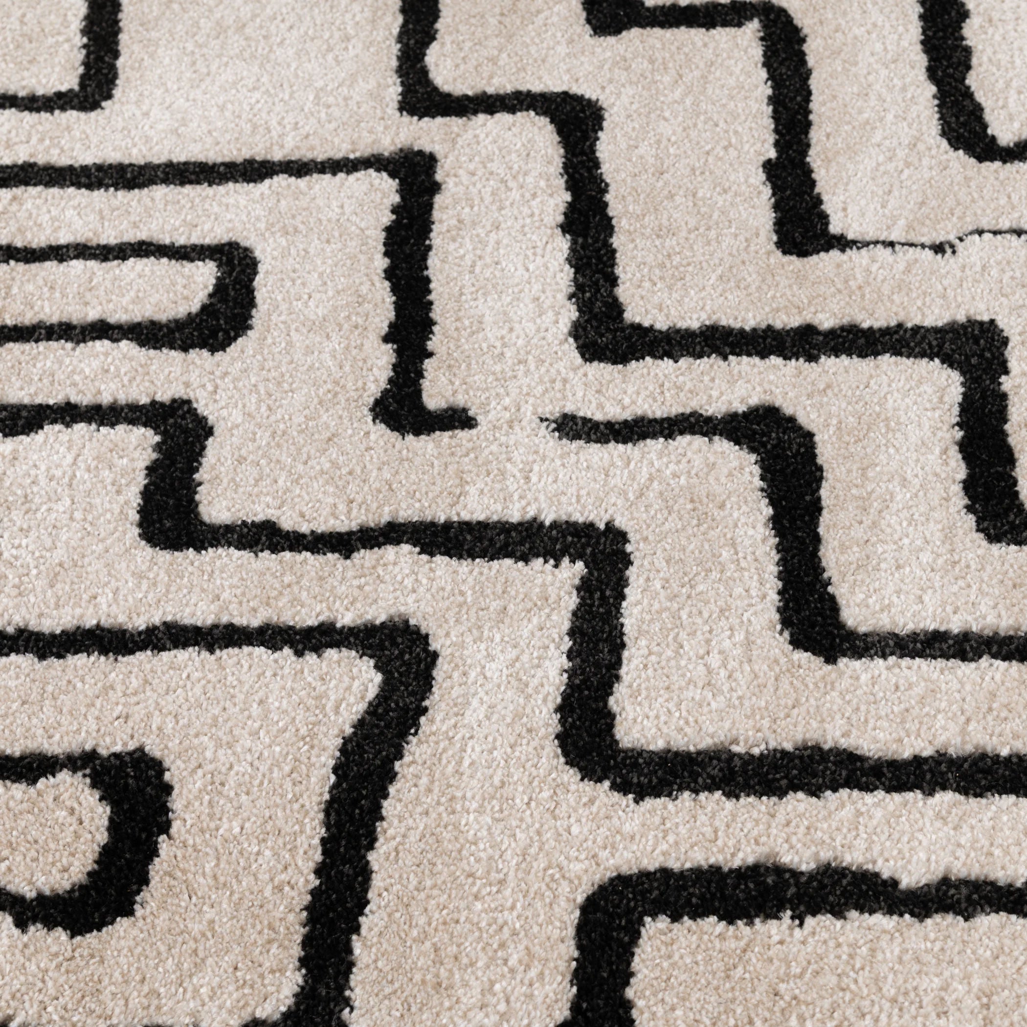 Charlin Area Rug