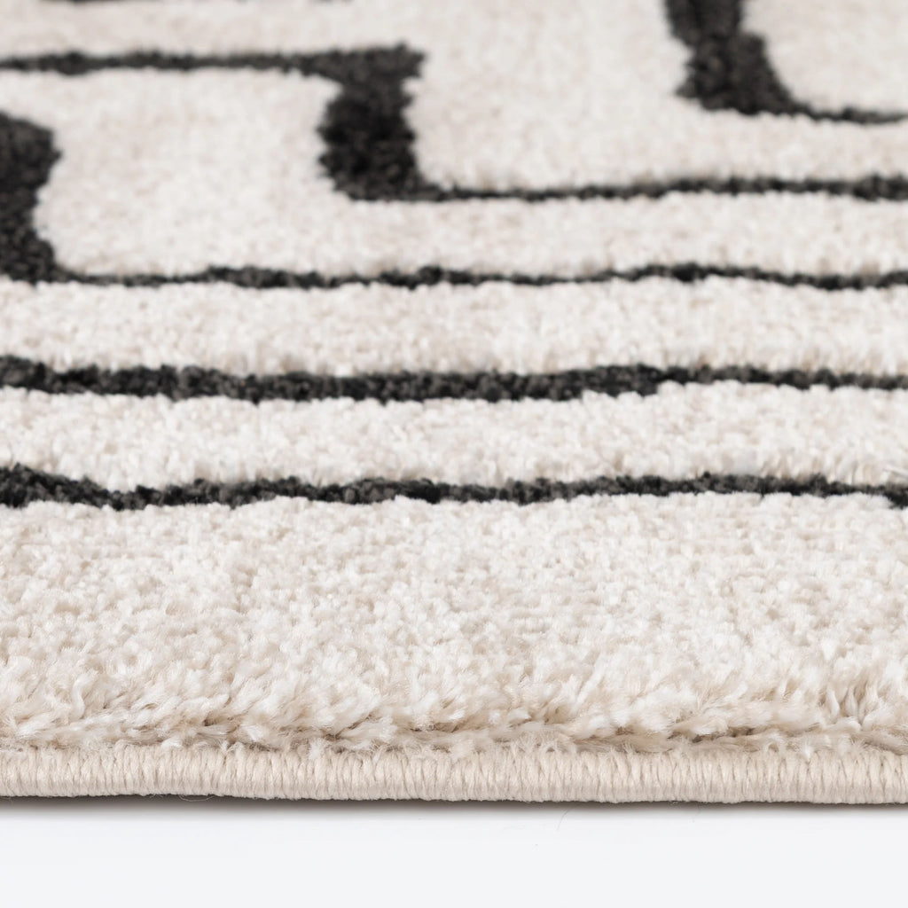 Charlin Area Rug