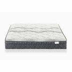 Splendor Mattress
