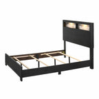 Cadence 3PC Set